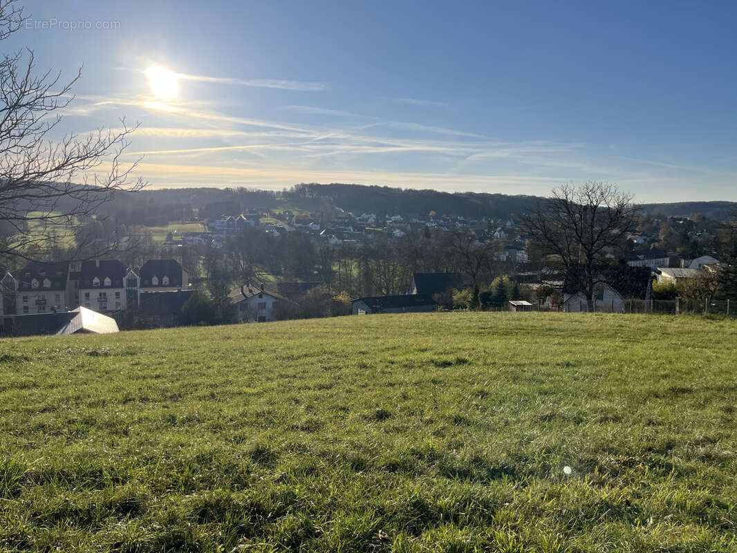 Terrain à WALDIGHOFEN