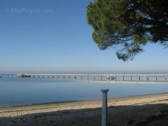 Commerce à ANDERNOS-LES-BAINS