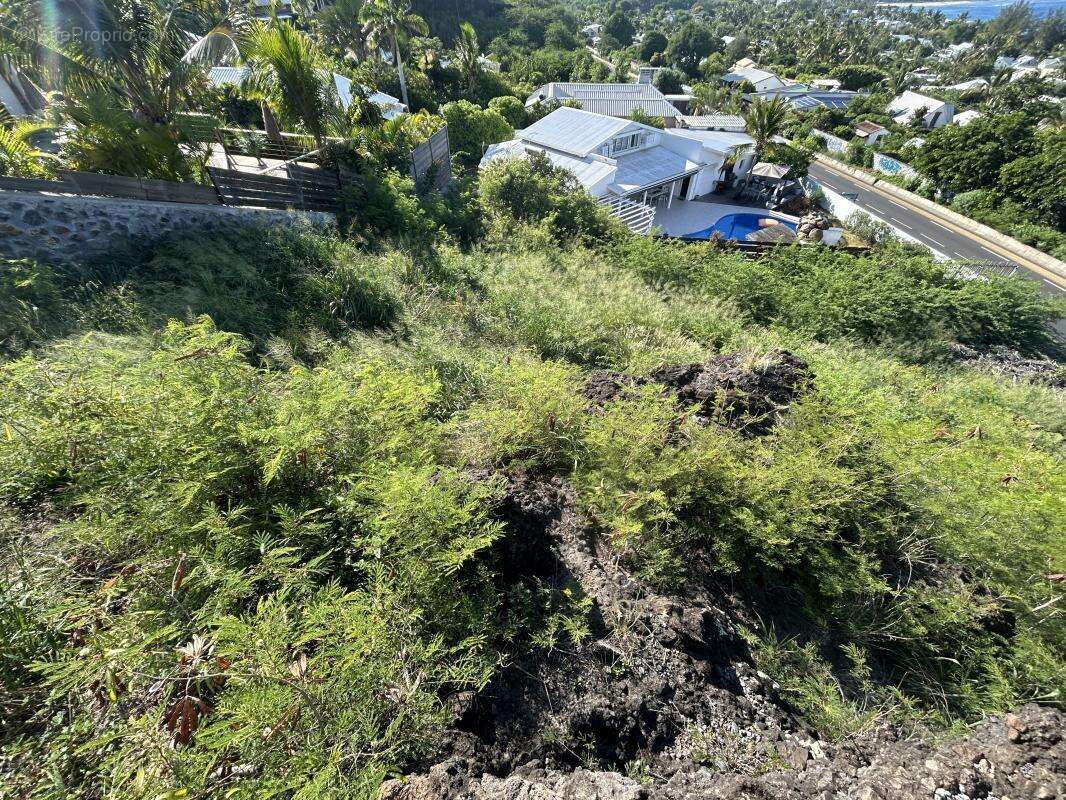 Terrain à SAINT-PAUL