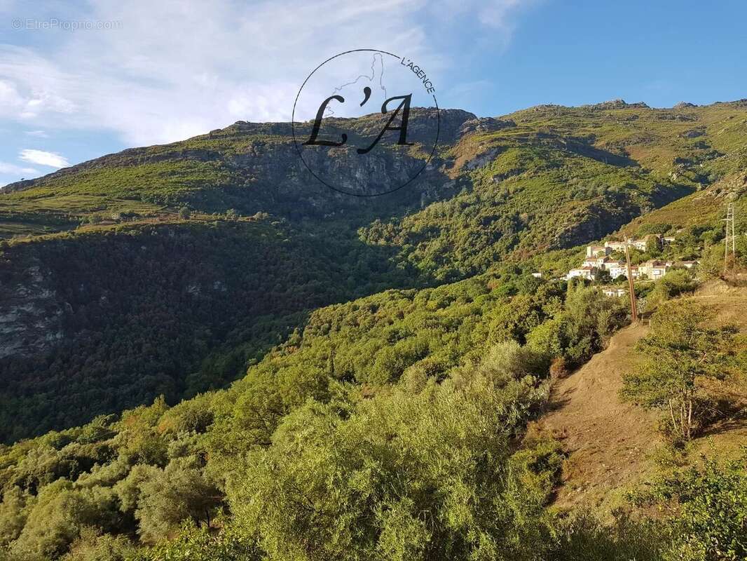 Appartement à SANTO-PIETRO-DI-TENDA