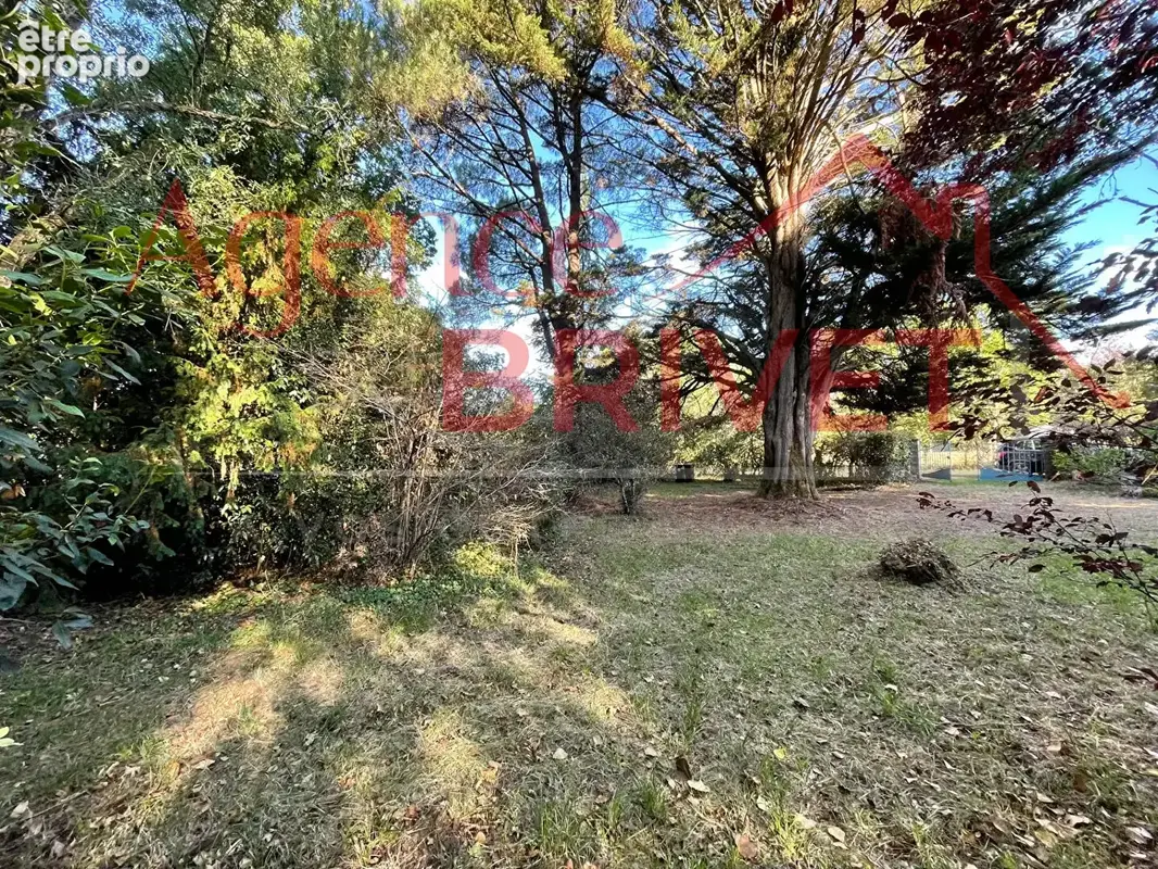 Terrain constructible - photo 2