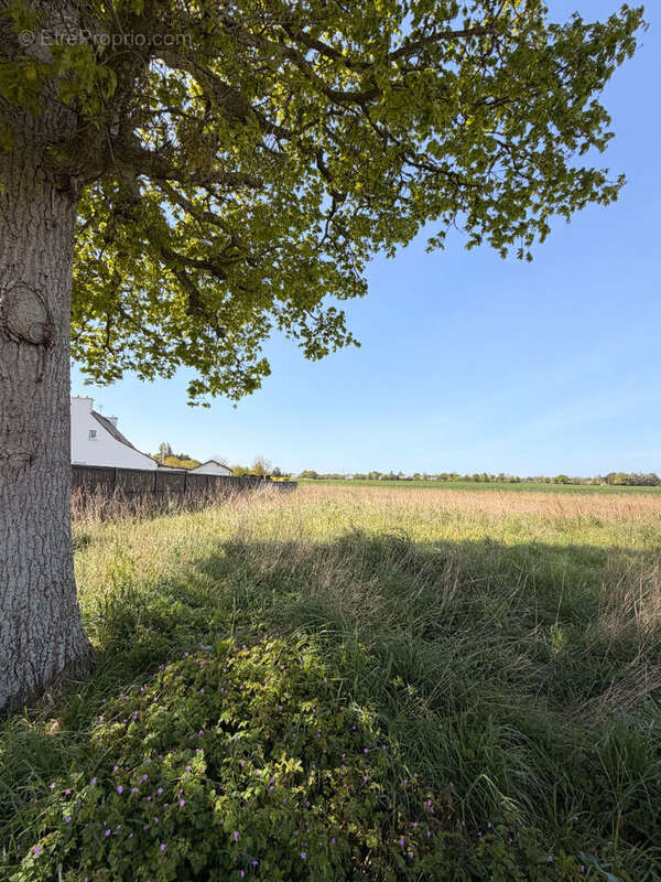 Terrain saint-alban - photo 2