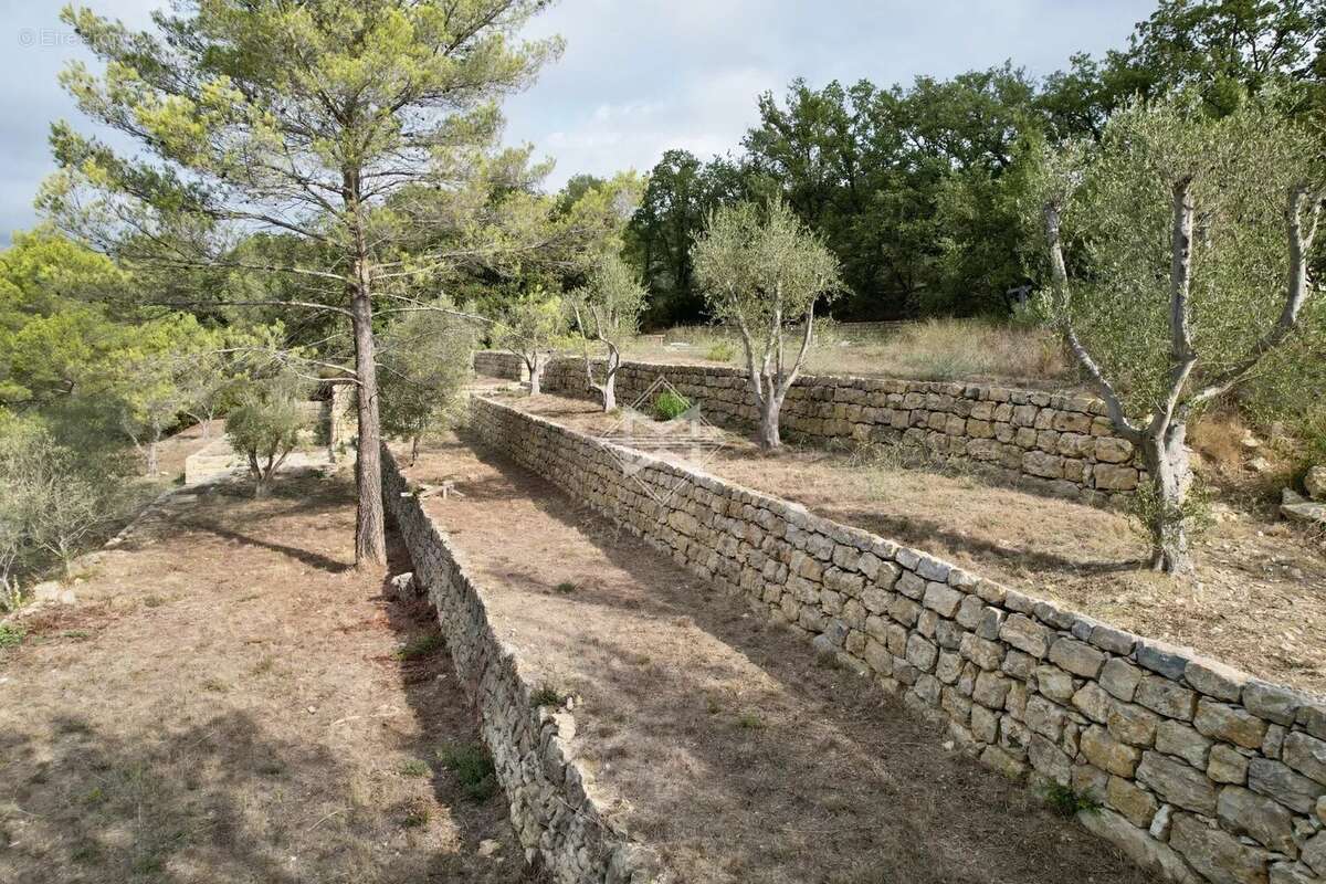 EXCLUSIVITE : Valbonne splendide terrain de 1 hectare - photo 9