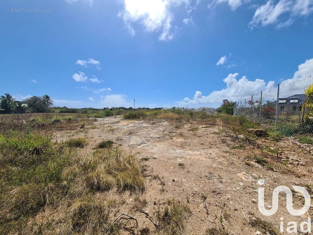 Photo 1 - Terrain à PETIT-CANAL