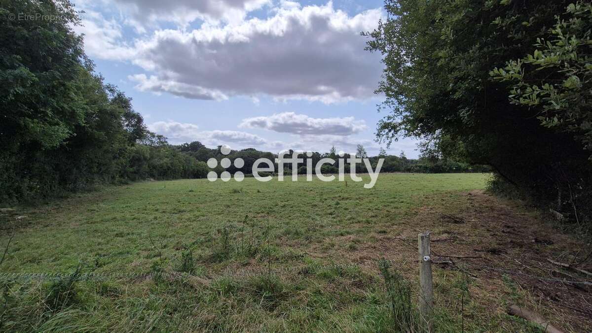 Maison à LE MOLAY-LITTRY