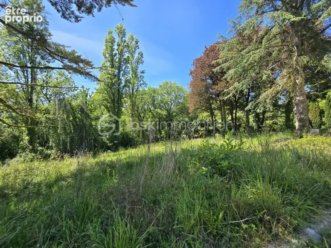Terrain constructible de 1129 m² viabilisé – Libre de constructeur - photo 2