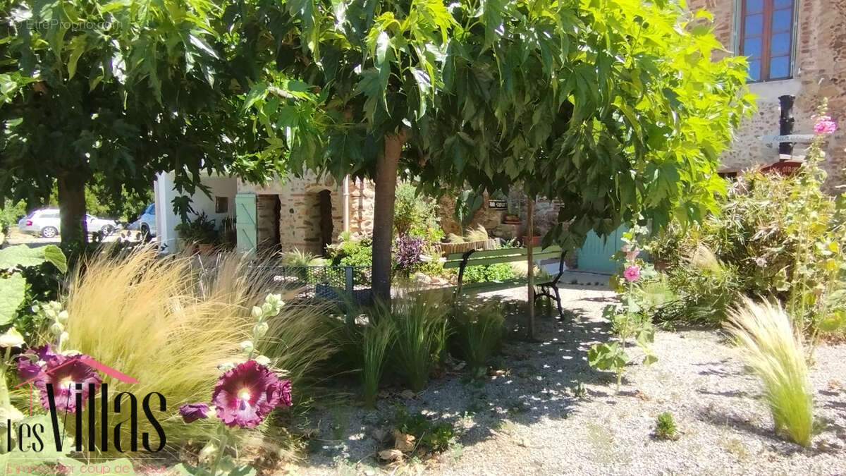 Mas de caractère rénové   195 m2 habitables sur plus de 550 m2 de terrain - photo 4