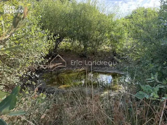 À vendre   plan d’eau avec terrain de 2,65 hectares   à proximité de l’océan et d’un lac - photo 5
