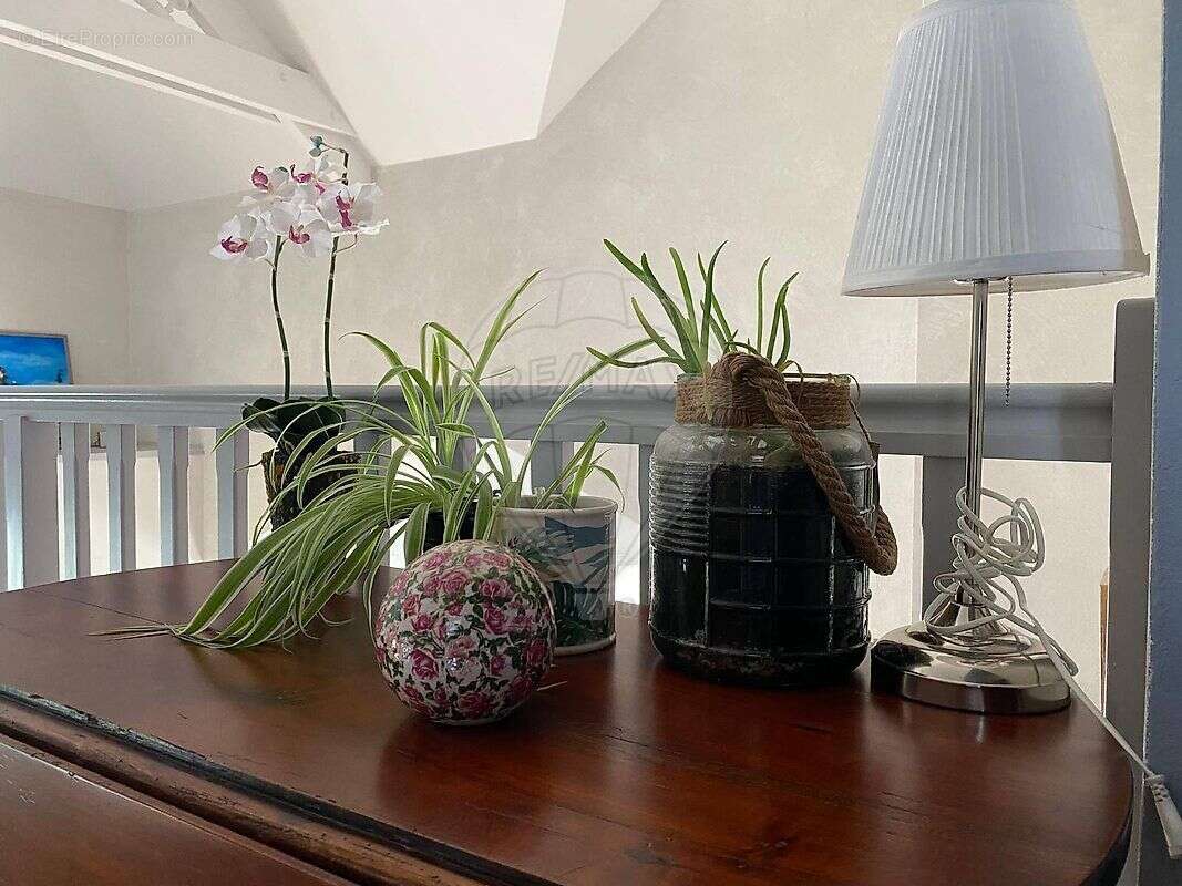 Maison à SAINTE-LUCE-SUR-LOIRE