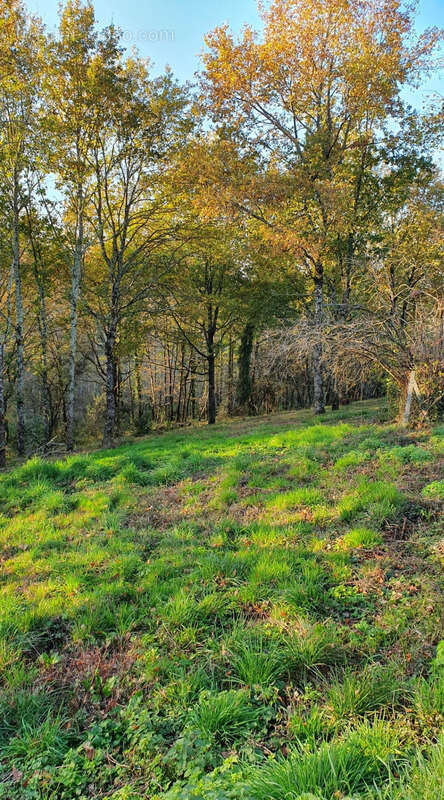 Terrain à COSNAC