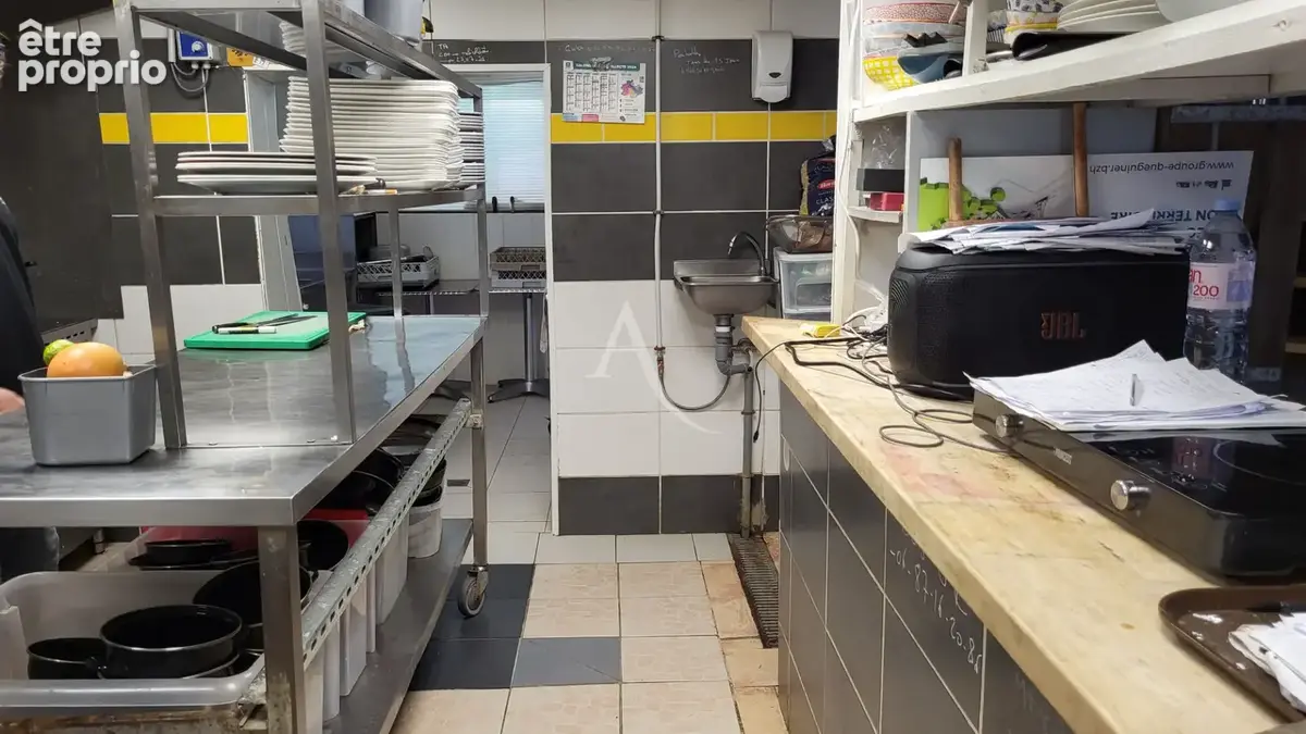 Restaurant, Murs et Fonds de Commerce, Ste Anne Sur Vilaine - photo 6
