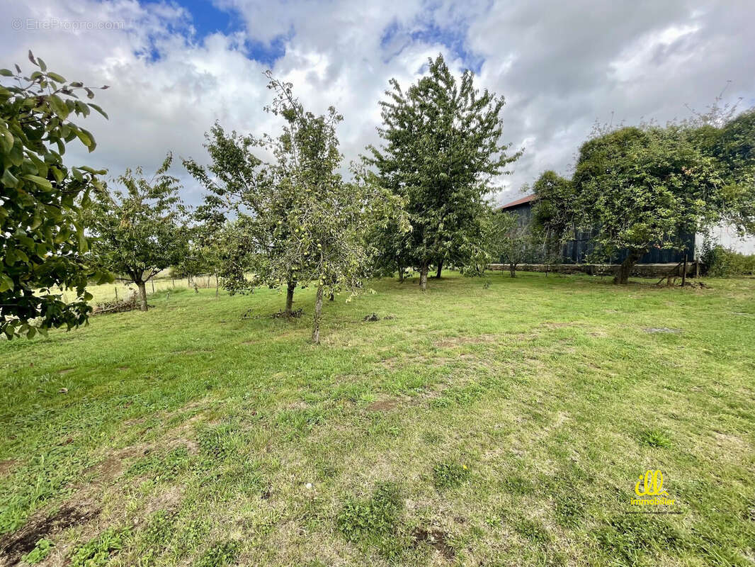 Maison à NEUVILLE-LEZ-BEAULIEU