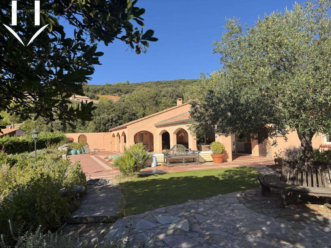 Maison à SAINT-CHINIAN