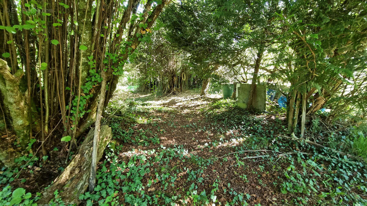 20250918_153501 - Maison à SAINT-MARTIAL-DE-VALETTE