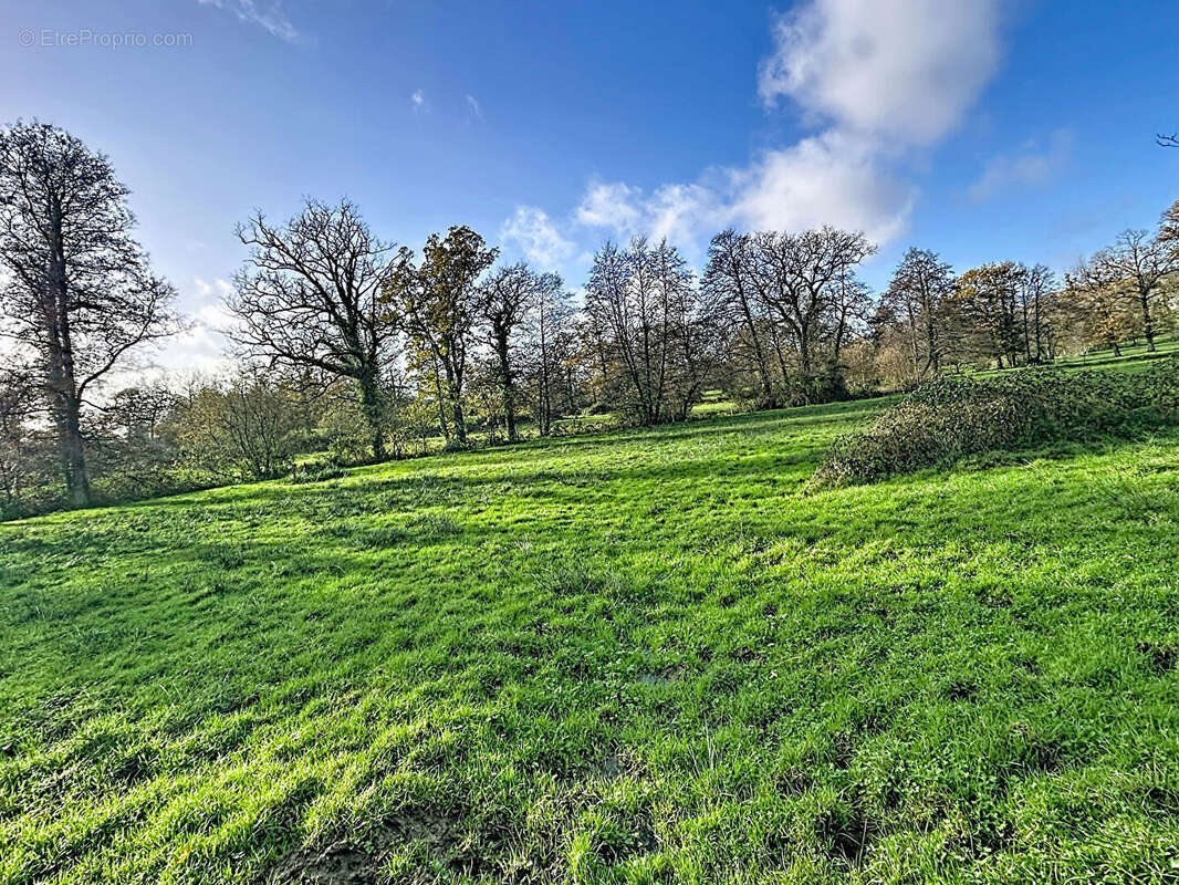 Maison à LA LANDE-D&#039;AIROU