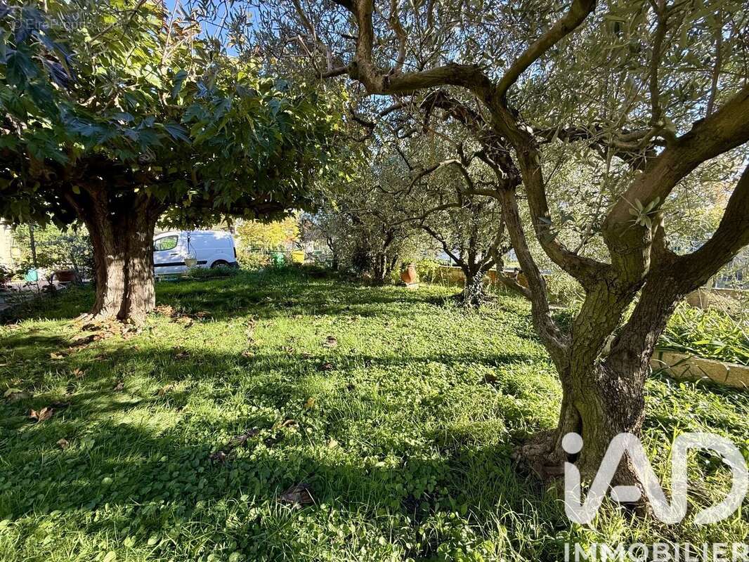 Photo 5 - Maison à MORIERES-LES-AVIGNON