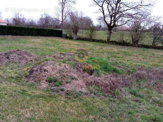 Terrain à LA CHAPELLE-BERTRAND