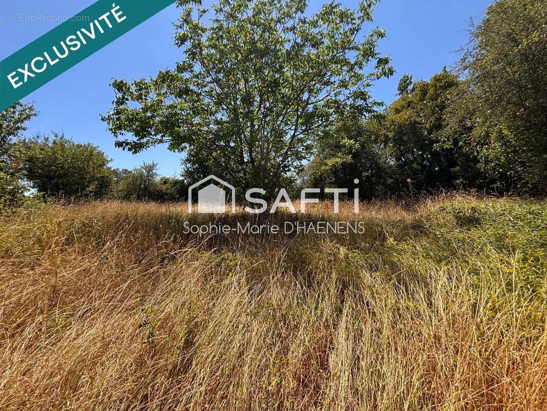 Maison 60 m² à Alligny-Cosne  - photo 4