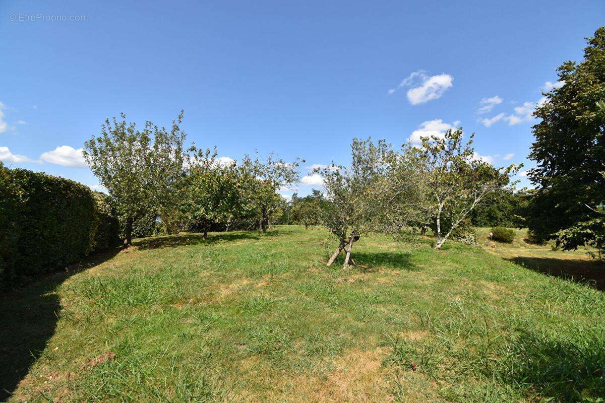 Maison 5 minutes de PONTONX  159 M2 SUR TERRAIN DE 6000 M2 - photo 15