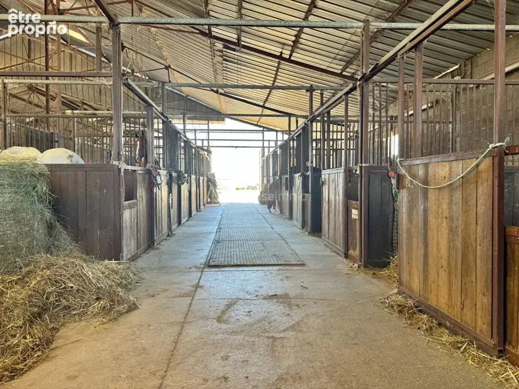 Centre equestre avec manege couvert et cabinet d'equitherapie - photo 7