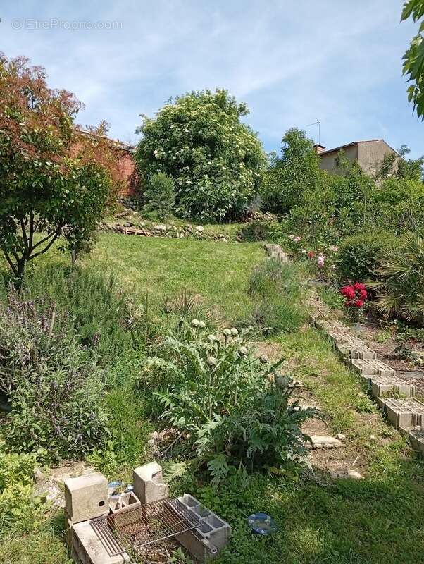 Maison à SAINT-JEAN-DU-FALGA