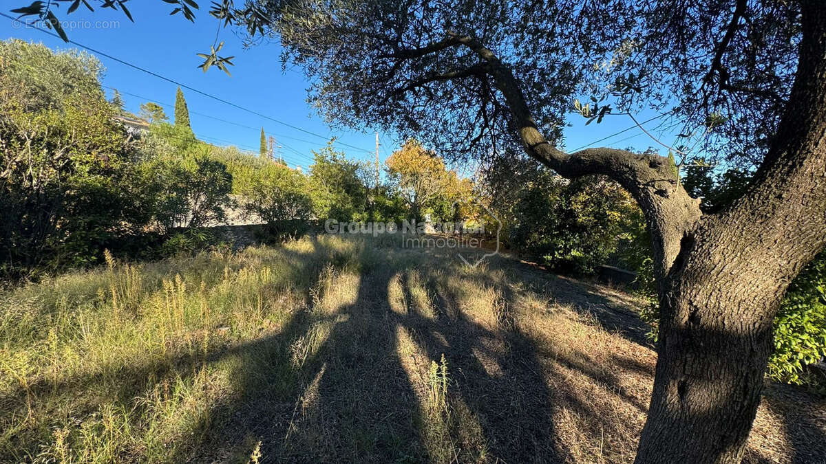 Terrain à CALVISSON