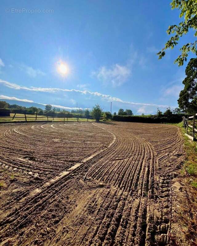 Photo 5 - Maison à MONTALIEU-VERCIEU