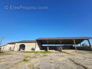 Photo 1 - Maison à SAINT-VIVIEN-DE-MONSEGUR