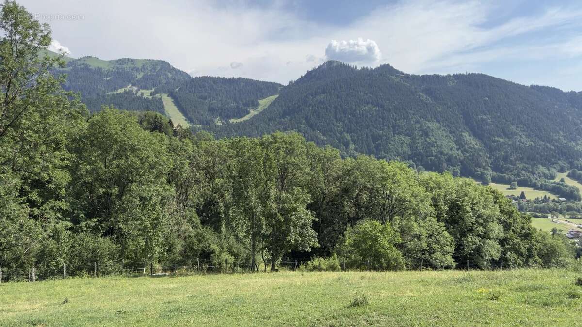 Terrain constructible BERNEX - Certificat d'urbanisme obtenu - photo 3