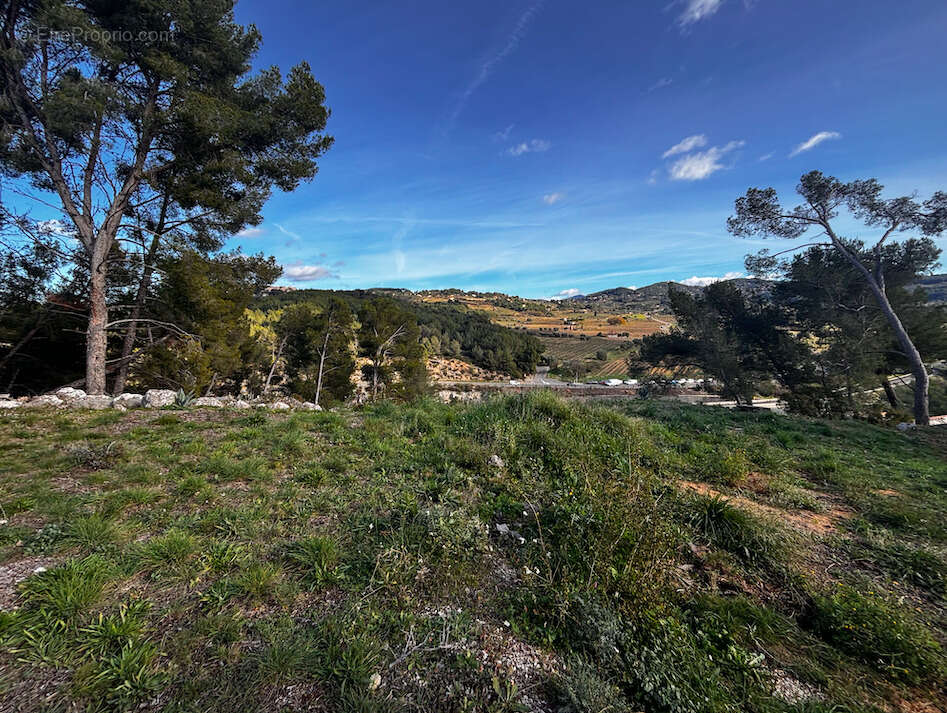 Terrain à LA CADIERE-D'AZUR