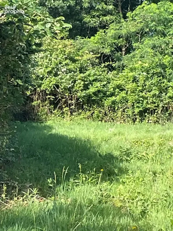 Terrain à SAINT-CYR-SUR-LOIRE