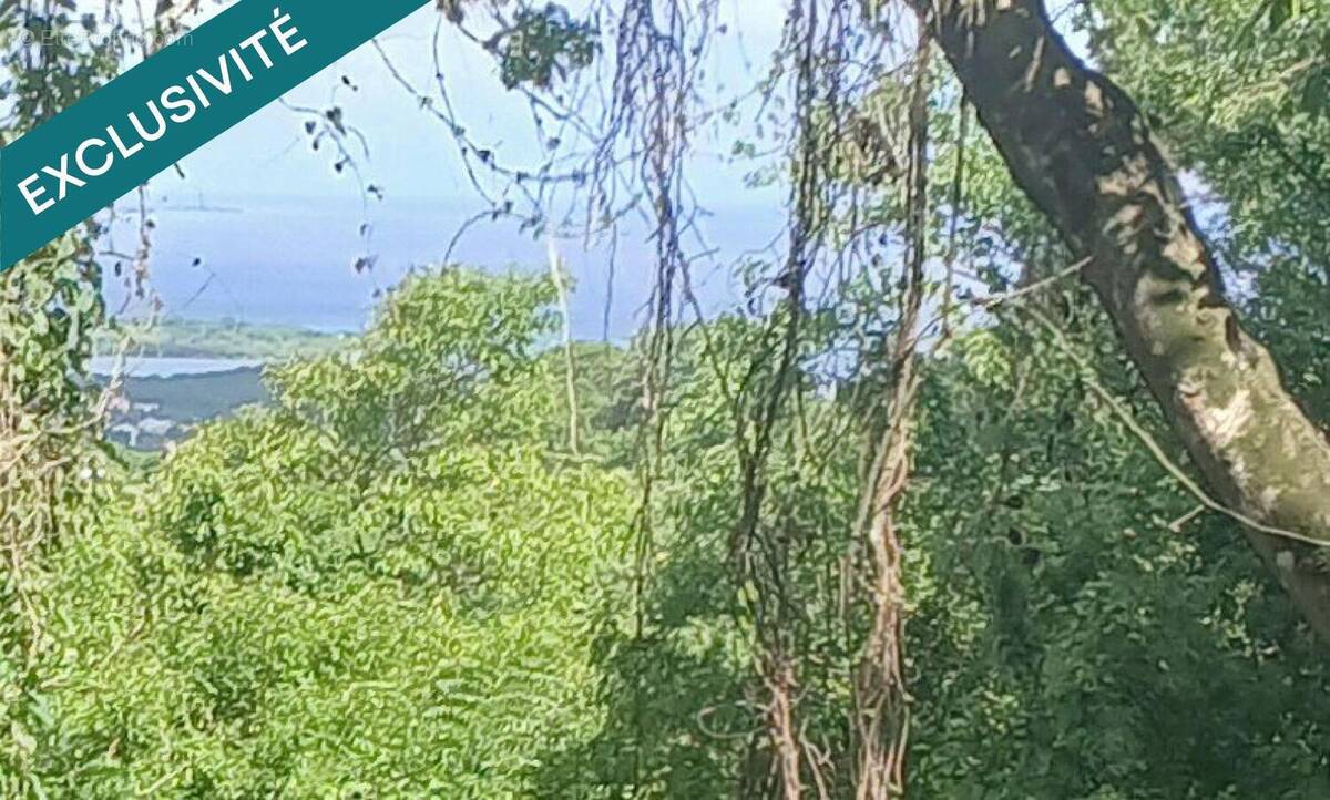 Photo 1 - Terrain à LE DIAMANT