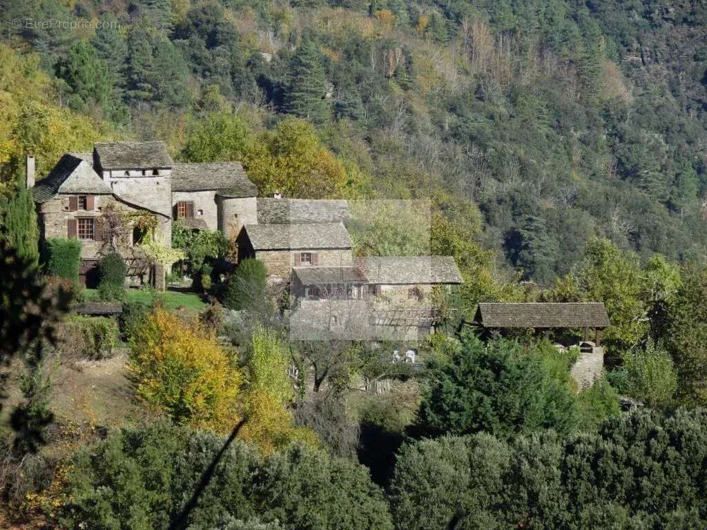 Maison à SAINT-GERMAIN-DE-CALBERTE