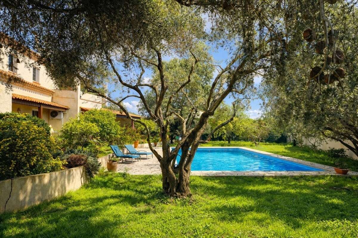 Une propriété introuvable : 2 159 m² de jardin privé au cœur de narbonne - photo 7