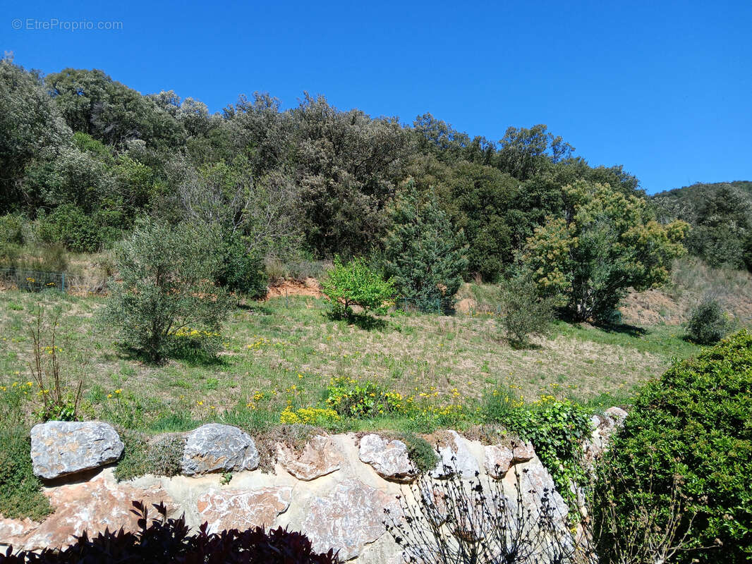 Appartement à AMELIE-LES-BAINS-PALALDA