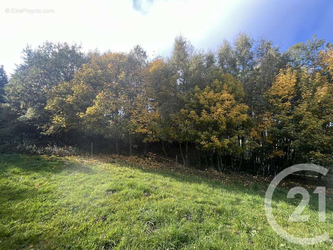 Terrain à BURDIGNES