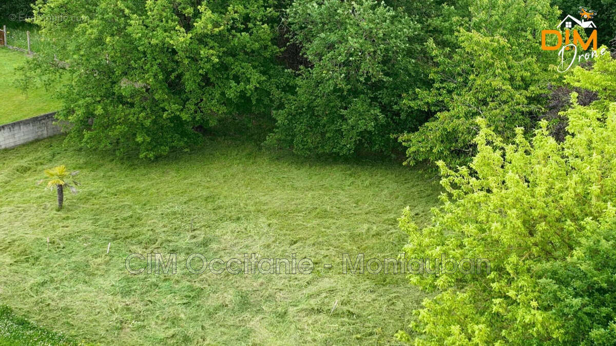 Terrain à MONTAUBAN