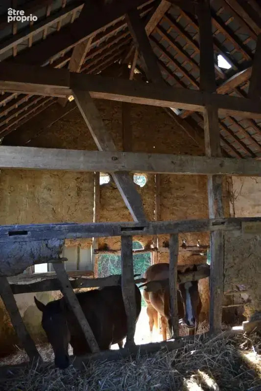 Maison de campagne sur 3ha à bâtir (27) - photo 20