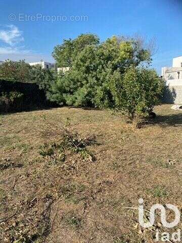 Photo 5 - Terrain à SERIGNAN