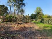 Terrain à VIELLE-SAINT-GIRONS