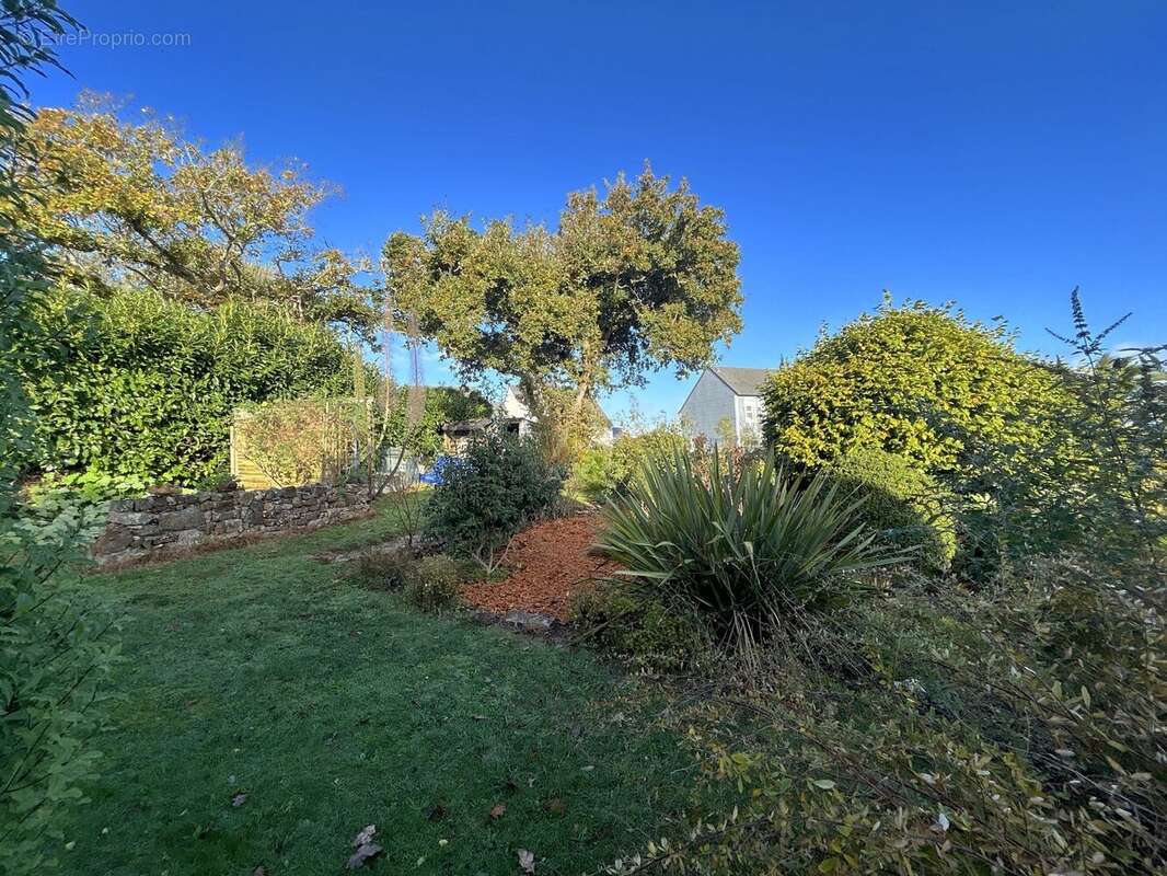 Roscanvel  Maison familiale avec vue mer, calme absolu, dans cadre marin - photo 17