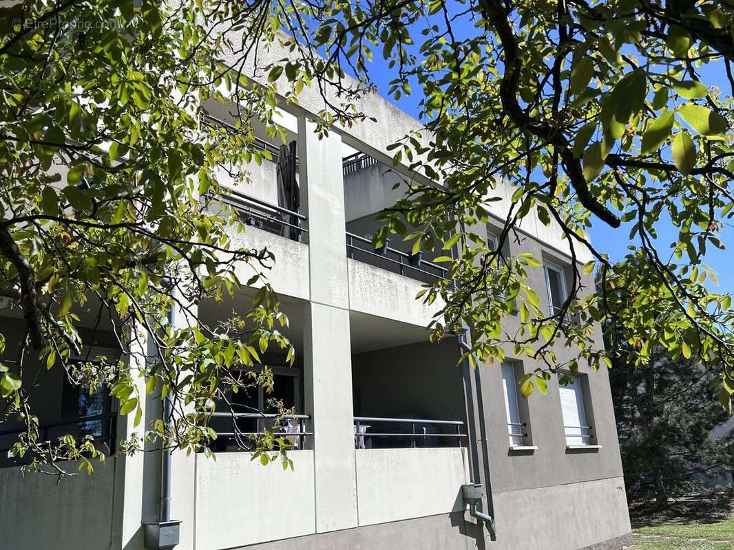 Appartement à SELESTAT
