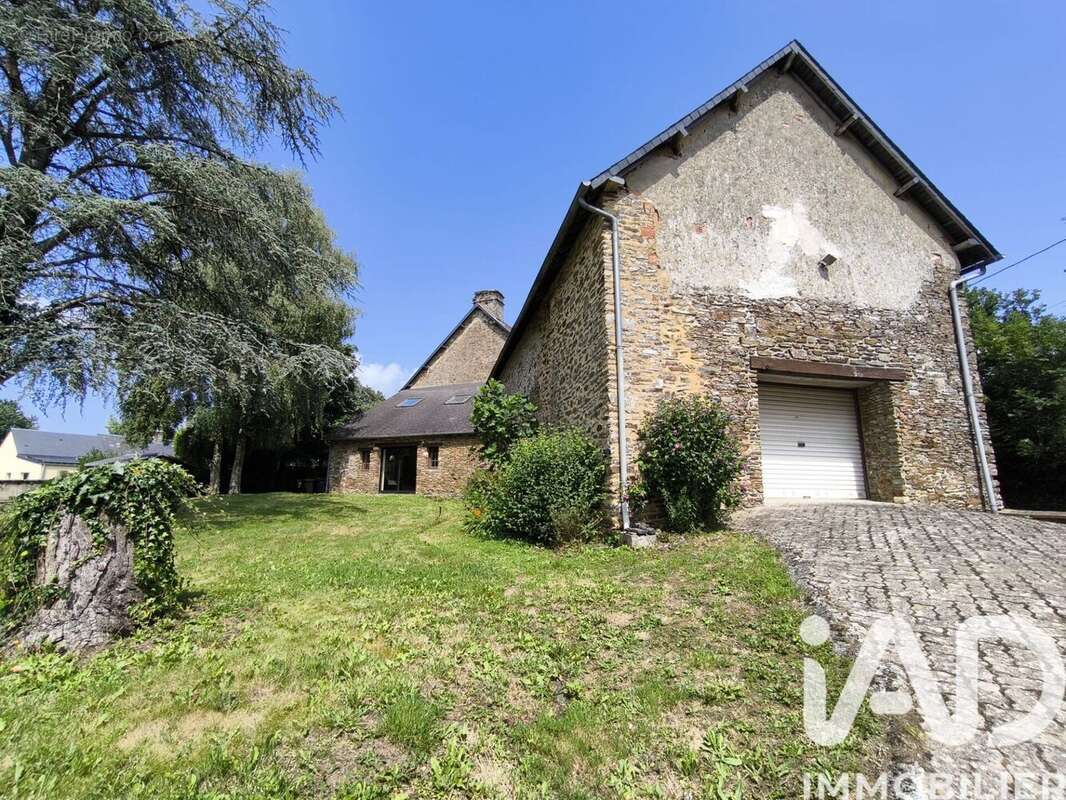 Photo 5