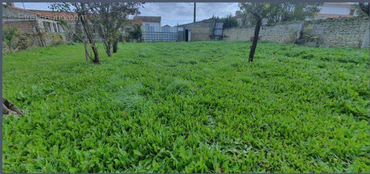 Terrain à PUYRAVAULT