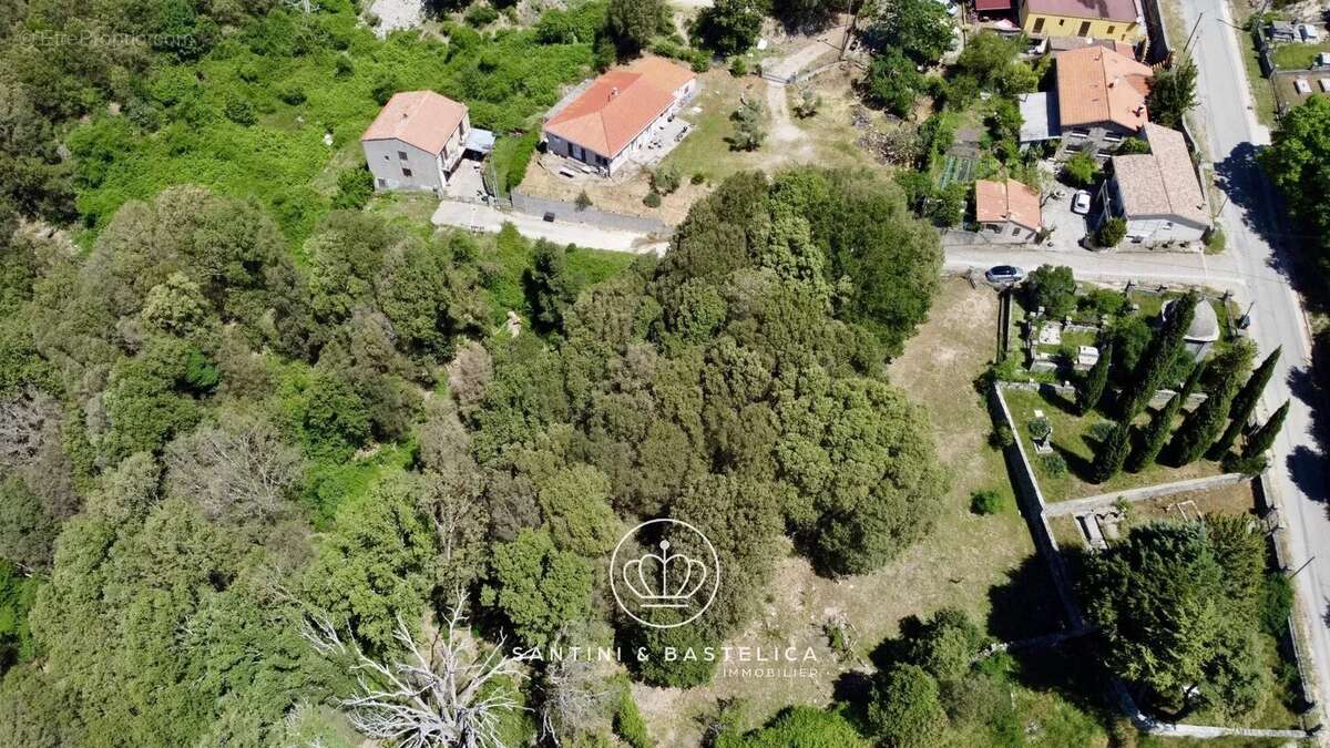 Terrain à ZICAVO