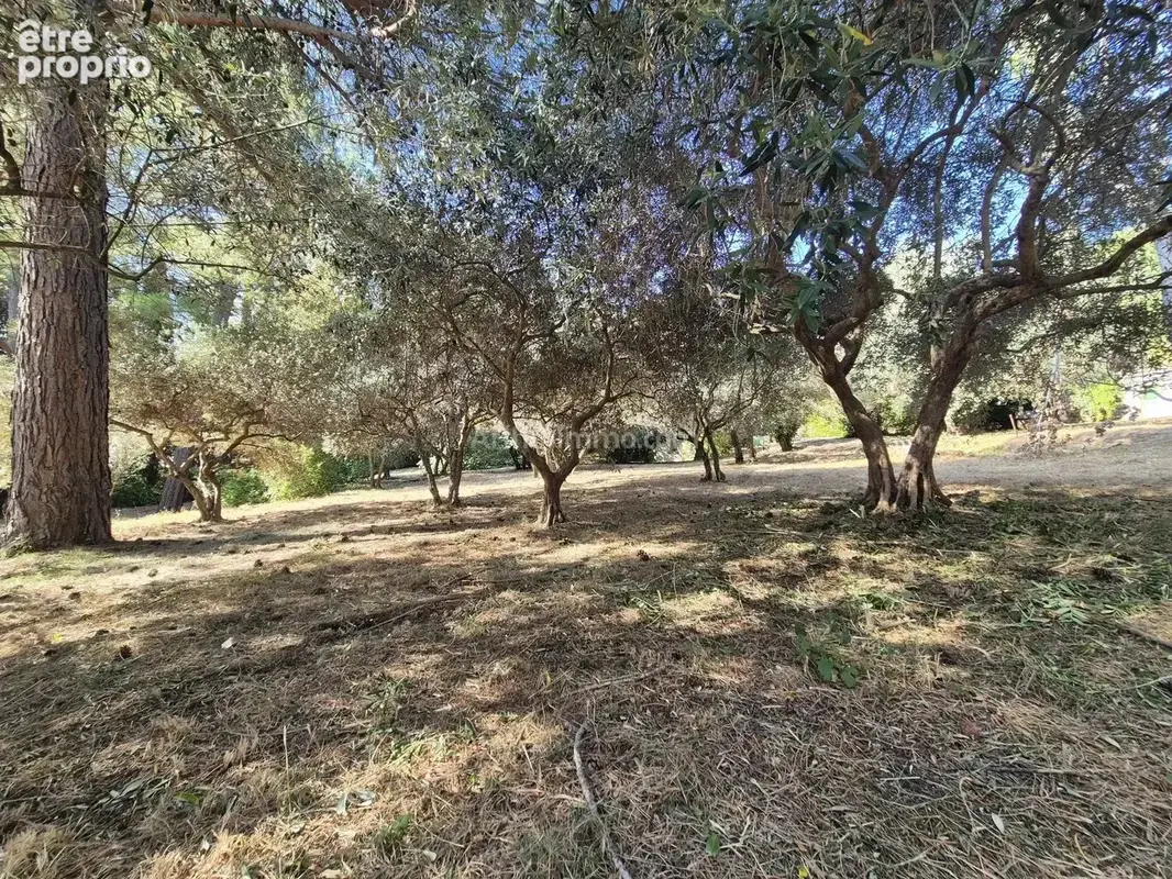 Vente Terrain Draguignan(83300) 145 000ï¿œ - photo 3