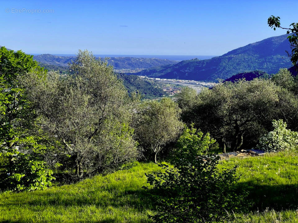 Terrain à BONSON