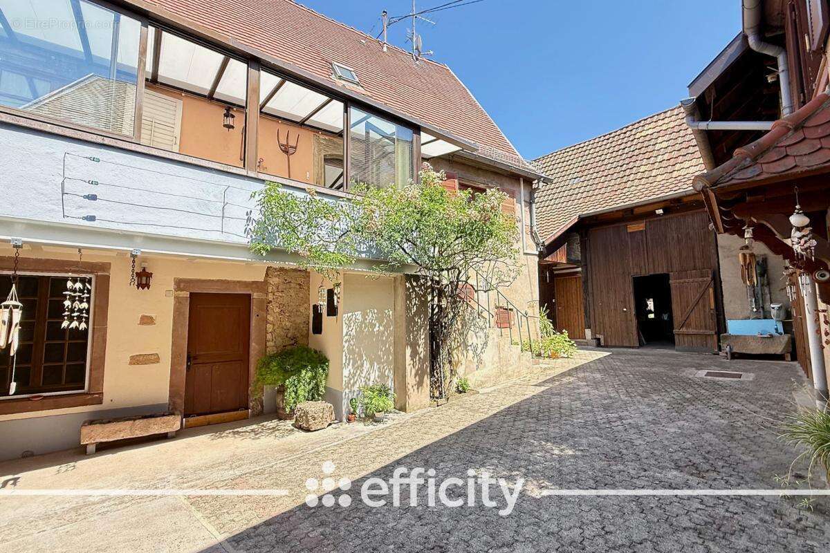 Maison 212 m² à Eichhoffen  - photo 14