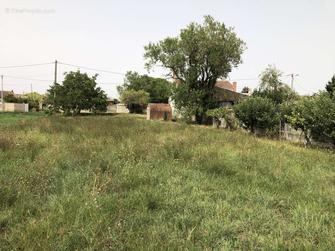 Terrain à SAINT-JEAN-DE-SAUVES