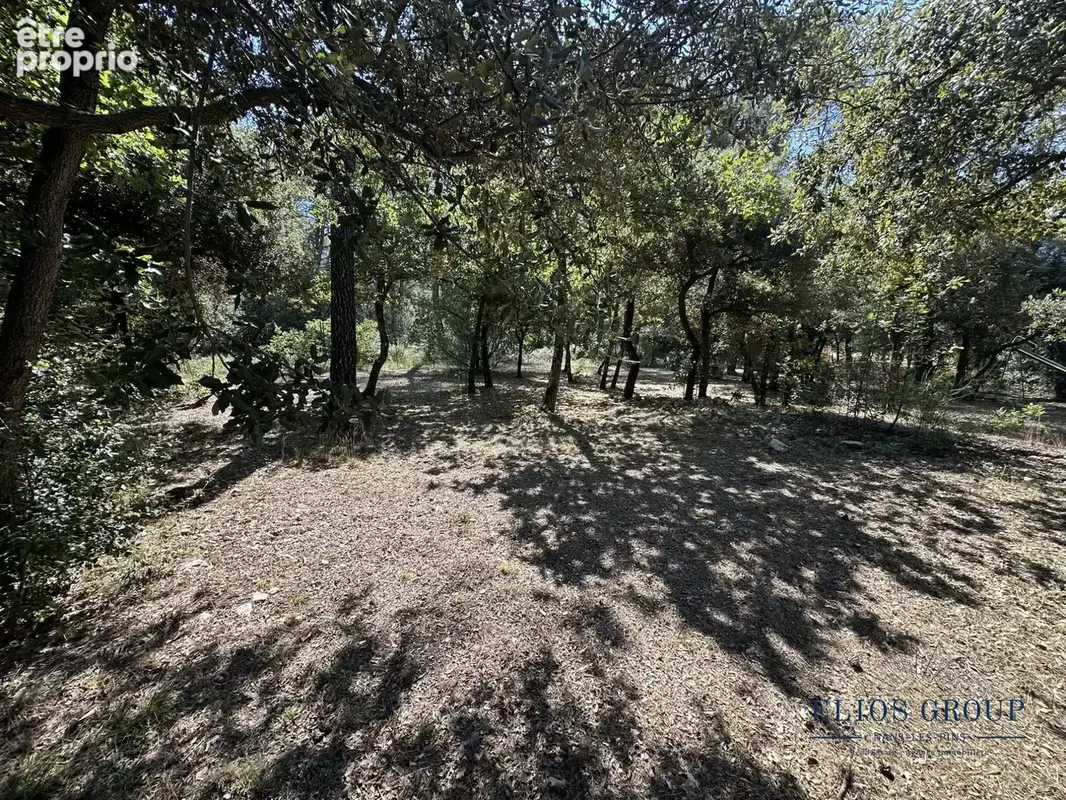 Terrain 2029 m² à Nans-Les-Pins  - photo 3